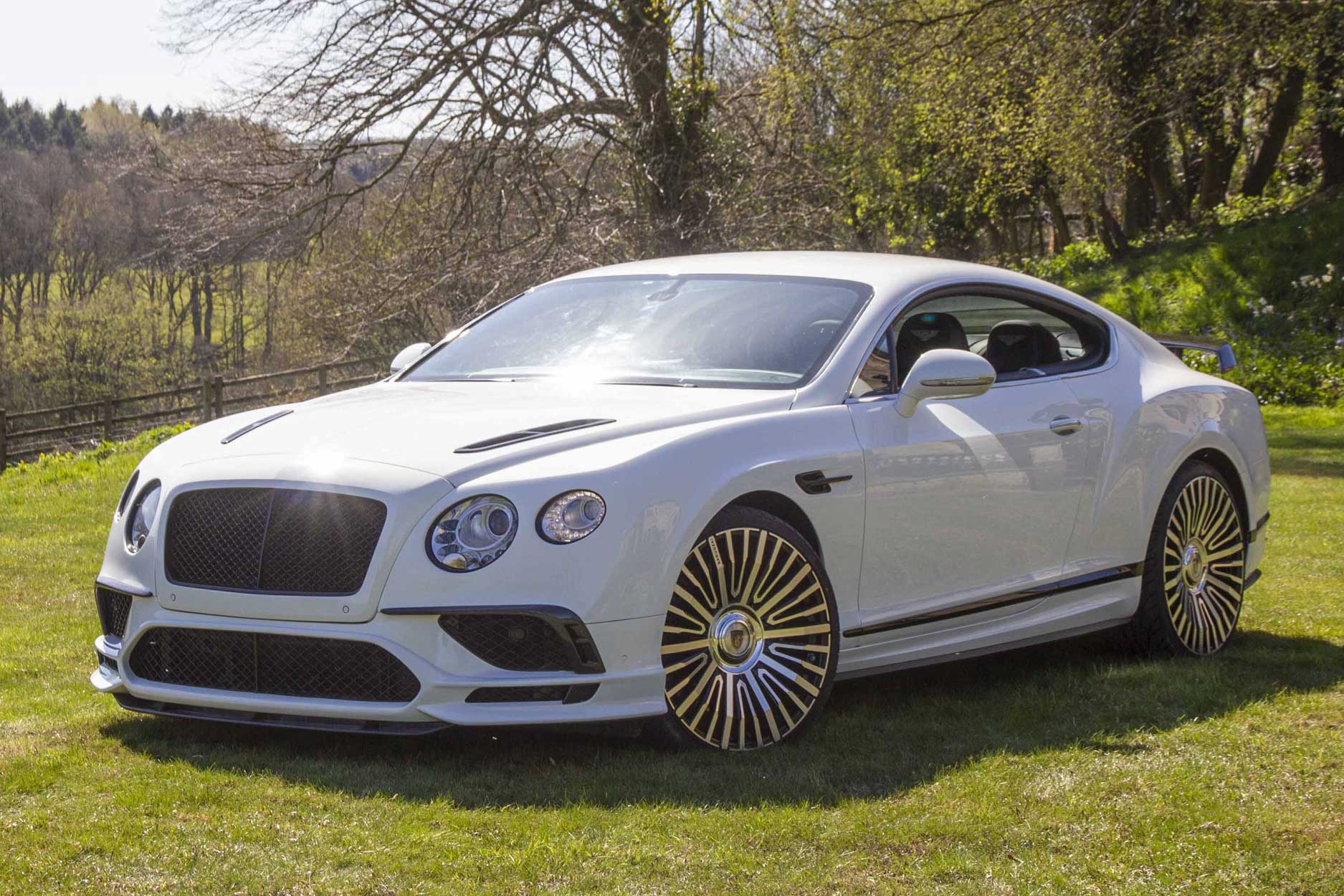 bentley_continental_gt_white_casanova_gb_polished_fr_quarter_view_rescaled